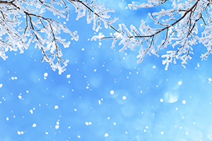 Festive Financing